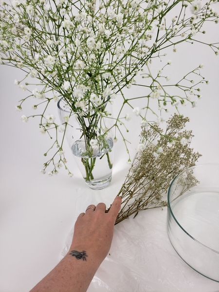 For my grid I am using a bunch of dried gyp For my grid I am using a bunch of dried gyp