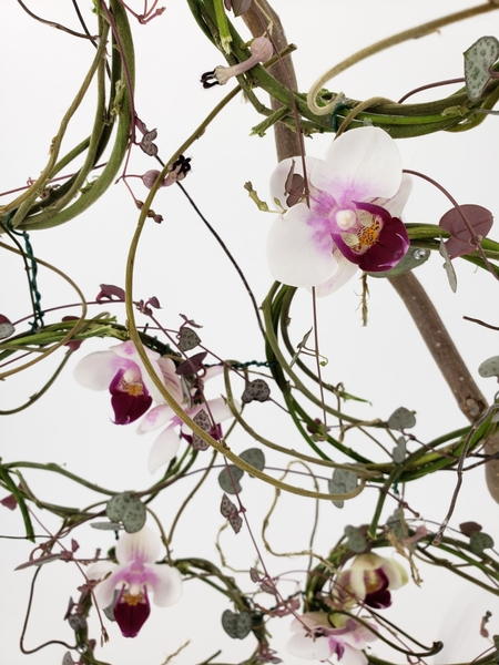 Free floral design tutorials for arrangers who like something a bit different Free floral design tutorials for arrangers who like something a bit different