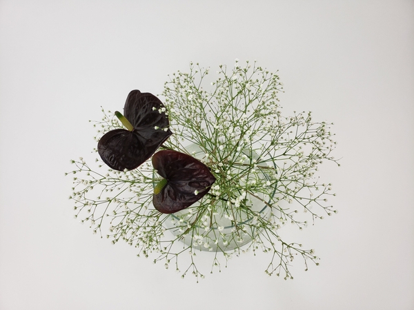 Free tutorials to learn how to arrange flowers Free tutorials to learn how to arrange flowers