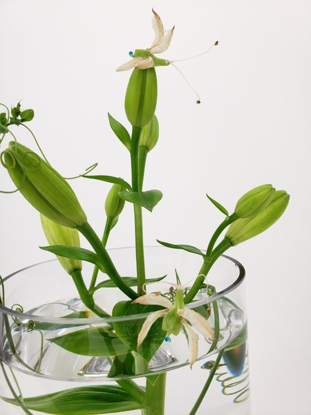 How to make floral bud insects Hornet How to make floral bud insects Hornet