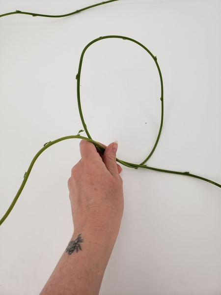 Loop the first weaving stem to begin weaving a wreath Loop the first weaving stem to begin weaving a wreath