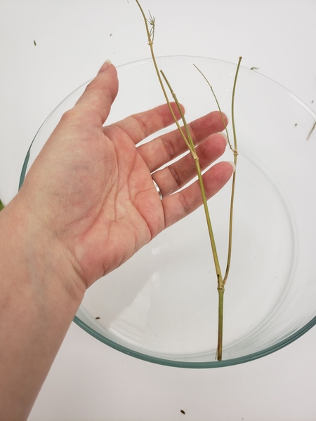 Make sure the stem kicks firmly against the side Make sure the stem kicks firmly against the side