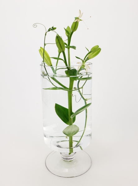 Minimalist floral designs... with an organic twist Minimalist floral designs... with an organic twist