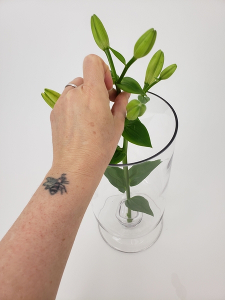 Place a gorgeous lily stem in a deep container Place a gorgeous lily stem in a deep container