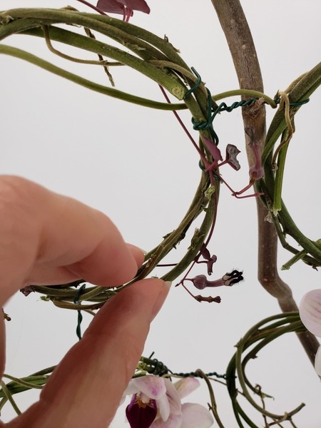 Weave and drape a few rosary vines around the wreaths Weave and drape a few rosary vines around the wreaths