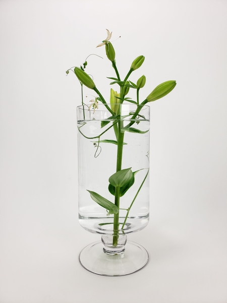 A contemporary minimalist semi submerged lily flower arrangement for summer A contemporary minimalist semi submerged lily flower arrangement for summer