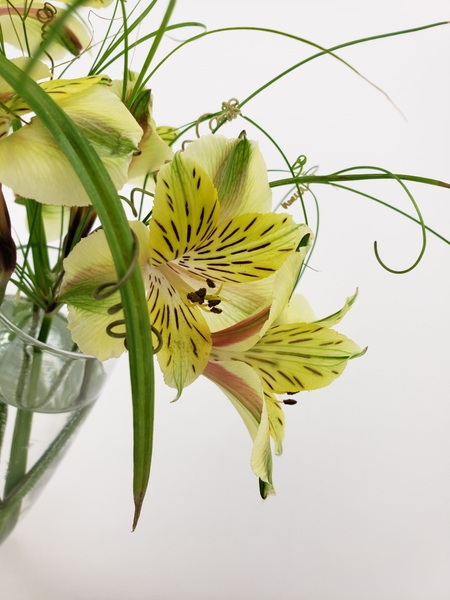 A natural no waste idea for arranging no foam zero waste flowers A natural no waste idea for arranging no foam zero waste flowers