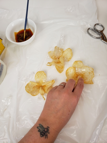 As the glue dries on the husk it stiffens it to make it easier to reshape As the glue dries on the husk it stiffens it to make it easier to reshape