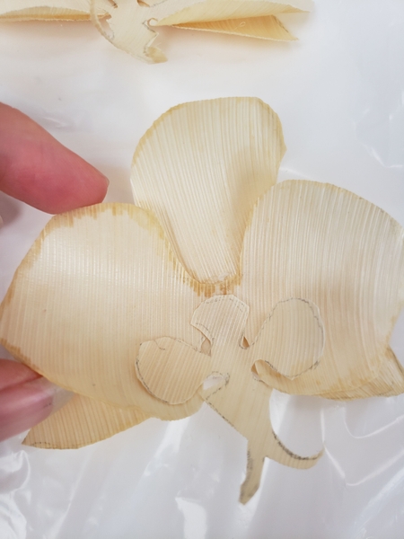 Create an outline around the flower Create an outline around the flower