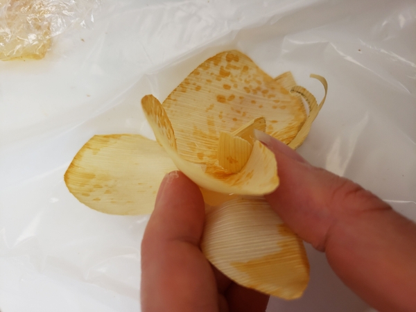 Curve the petal in and the sepal out as the glue sets Curve the petal in and the sepal out as the glue sets