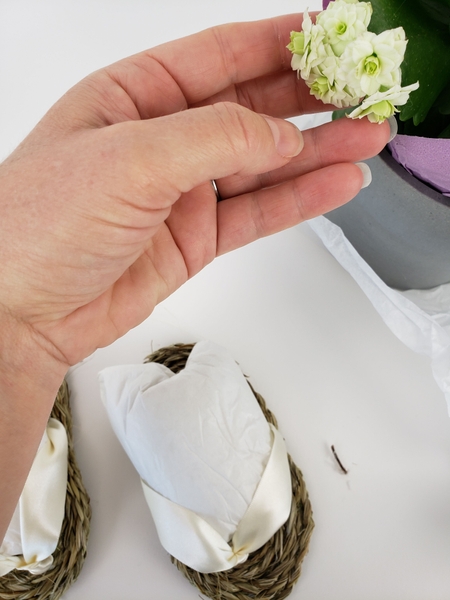 Cut kalanchoe flowers from the plant Cut kalanchoe flowers from the plant