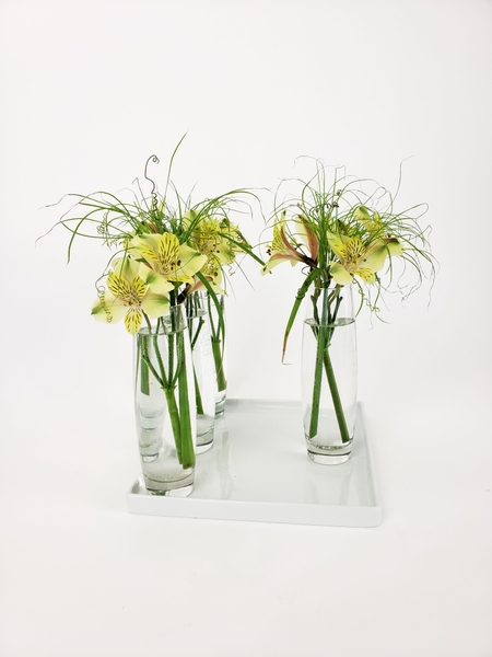 Displaying bud vases in a contemporary way Displaying bud vases in a contemporary way