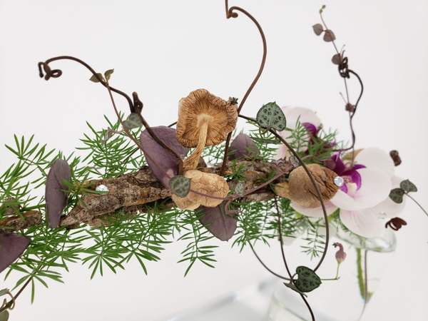 Dry mushrooms to craft with Dry mushrooms to craft with