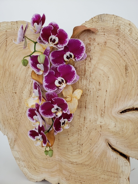 Easy fast and sustainable floral design ideas Easy fast and sustainable floral design ideas