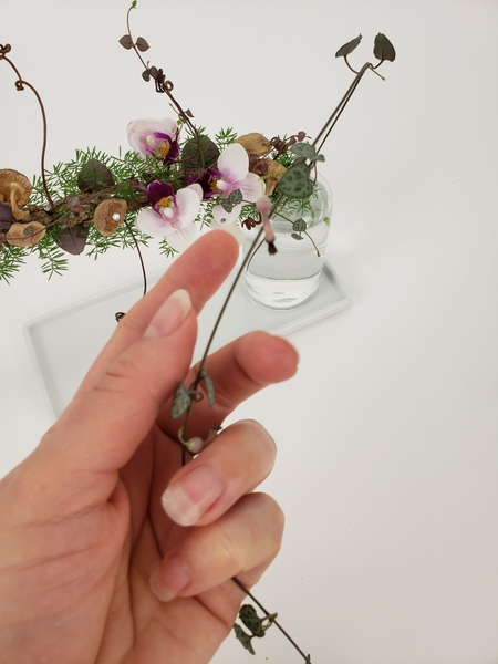 Finish the design with an elegant rosary vine stem twirled around the fern. Finish the design with an elegant rosary vine stem twirled around the fern.