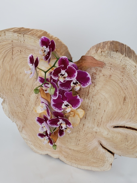 Making Paper flowers from bamboo husks to craft with Making Paper flowers from bamboo husks to craft with