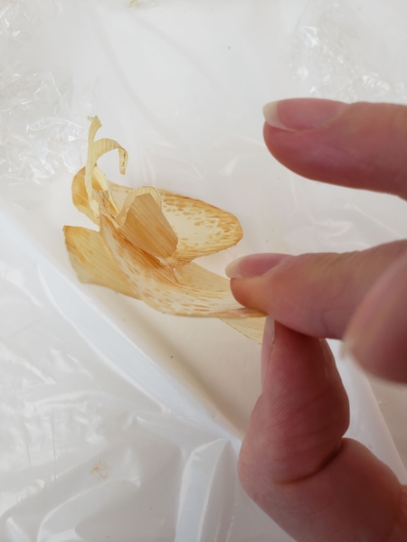 Pinch the edge of the sepals and petals to curve it slightly back Pinch the edge of the sepals and petals to curve it slightly back