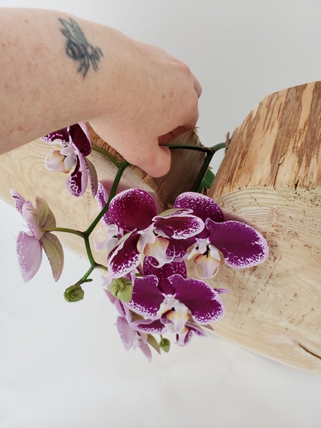 Place the cascading spike over a branch or wood Place the cascading spike over a branch or wood