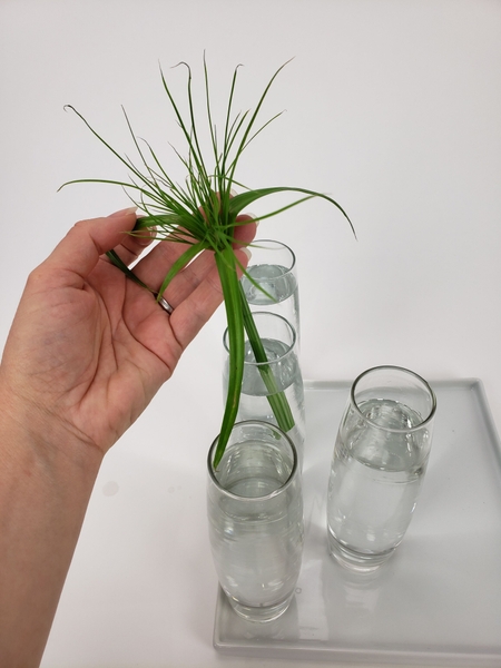 Place the papyrus stems in the water Place the papyrus stems in the water
