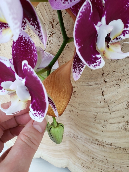 So that it is easy to remove the flowering plant So that it is easy to remove the flowering plant