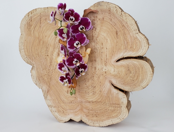 Style a growing orchid plant in a minimalist interior Style a growing orchid plant in a minimalist interior