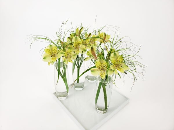 Styling flowers in a soft minimal way like a professional designer Styling flowers in a soft minimal way like a professional designer