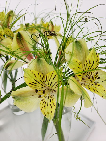 Sustainable flower arranging for contemporary stylists