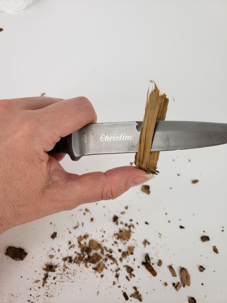Trim away the wood from the bark. Trim away the wood from the bark.