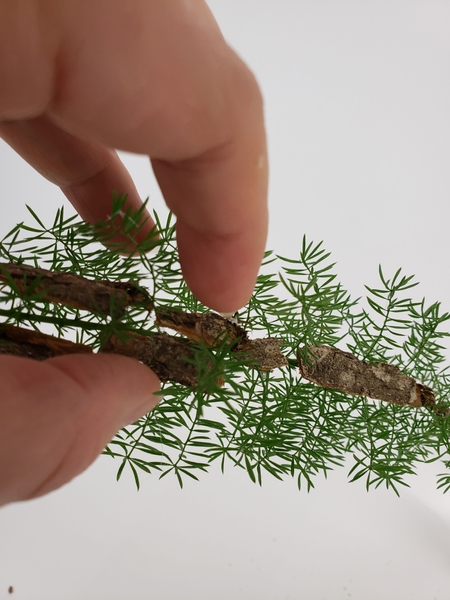 Work around the fern so that it pokes out of the wood at places Work around the fern so that it pokes out of the wood at places