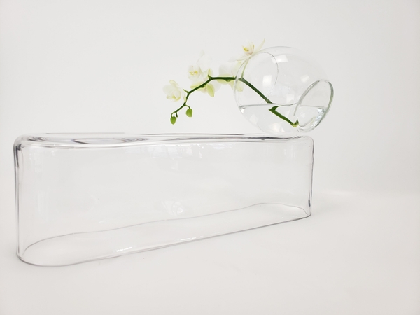 Arranging a single orchid spike in a clear glass design Arranging a single orchid spike in a clear glass design