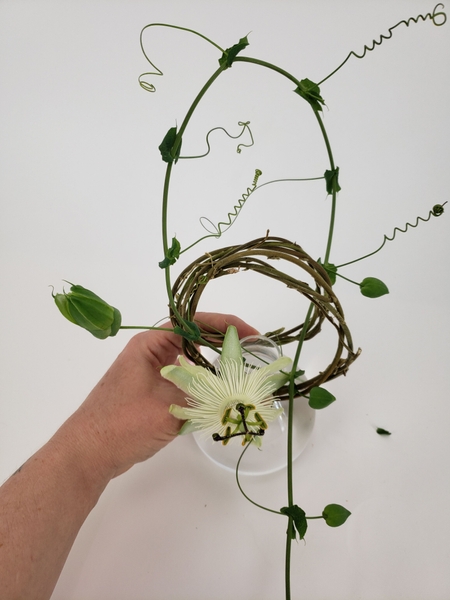 Carefully curve the vine and slip it through both the wreaths Carefully curve the vine and slip it through both the wreaths