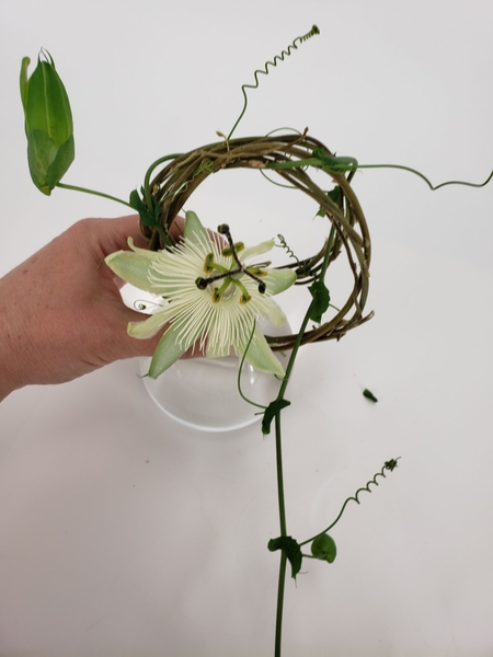 Carefully curve the vine over the wreaths and again wind it through the wreath Carefully curve the vine over the wreaths and again wind it through the wreath