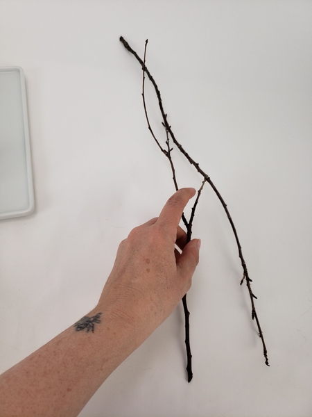 Choose a twig with a flexible fork in it Choose a twig with a flexible fork in it