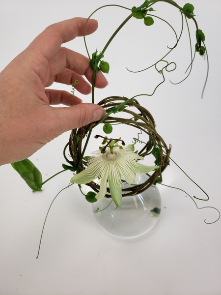 Continue to wind the vine around the two wreaths Continue to wind the vine around the two wreaths
