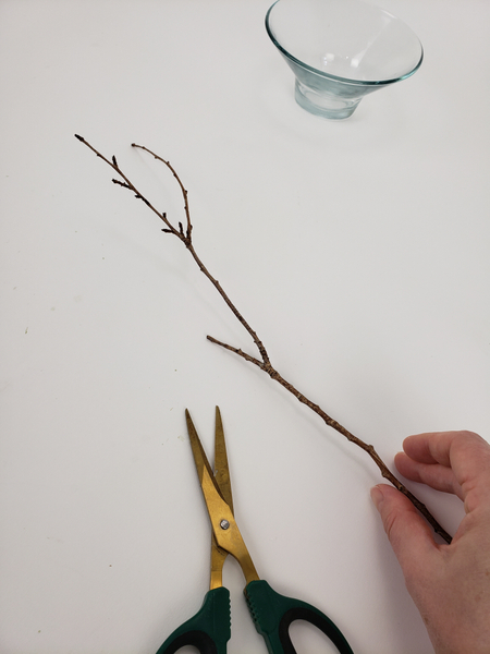 Cut one end of a fork in a twig short.