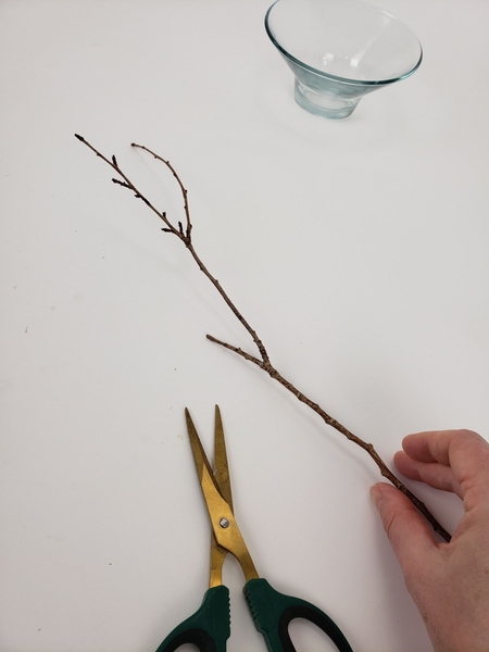 Cut one end of a fork in a twig short. Cut one end of a fork in a twig short.