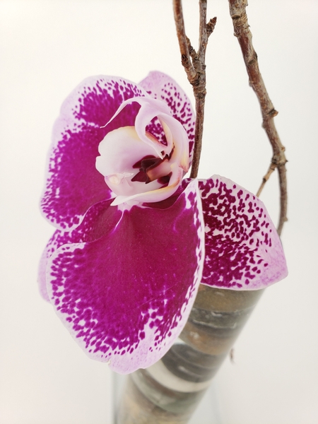 Fun ideas for original flower arranging Fun ideas for original flower arranging