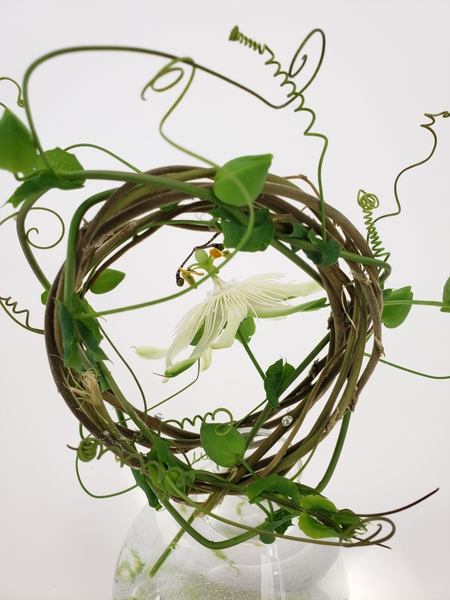 How to wind a wreath out of vines How to wind a wreath out of vines