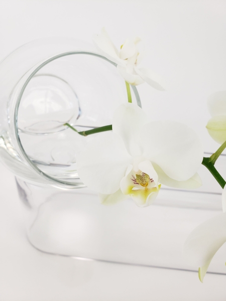 Learning the finer tips for arranging flowers professionally Learning the finer tips for arranging flowers professionally