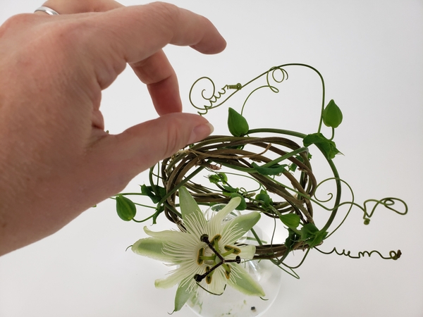 Make sure the tendrils are twirling freely Make sure the tendrils are twirling freely