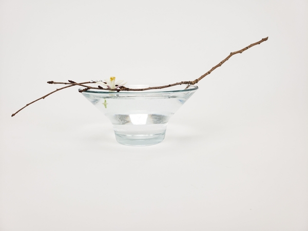 Minimalist floral decoration for mindful spaces