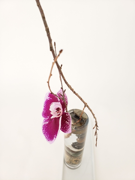 Natural ways to keep flowers in place in a vase Natural ways to keep flowers in place in a vase