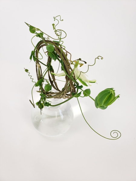 Passiflora floral design by Christine de Beer Passiflora floral design by Christine de Beer