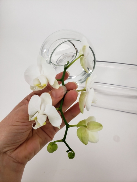 Place the spike deep into the vase Place the spike deep into the vase