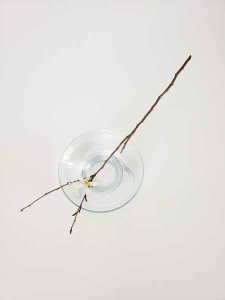 Styling a peaceful space with natural elements Styling a peaceful space with natural elements
