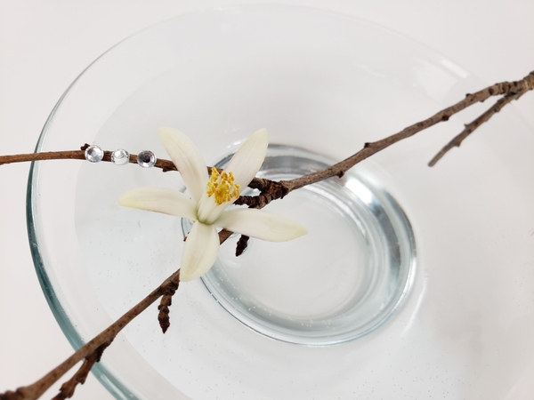 Summer decor with lemon blossoms to fragrance your home Summer decor with lemon blossoms to fragrance your home