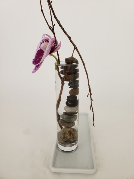 To keep the orchid exactly where you want it To keep the orchid exactly where you want it