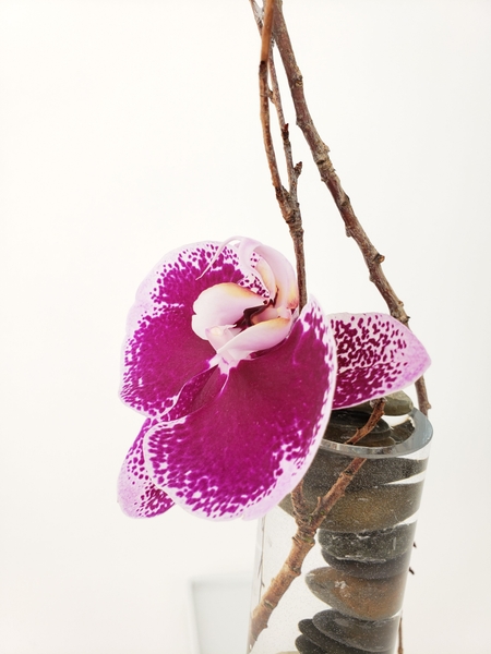 Using traditional floral design techniques in contemporary designs Using traditional floral design techniques in contemporary designs