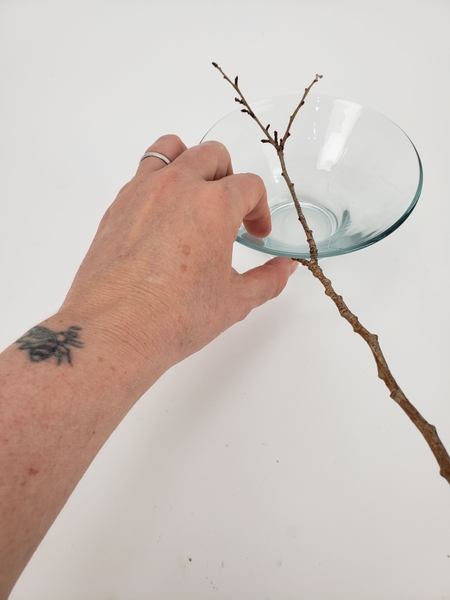 Wedge the fork of the twig over the side of the container Wedge the fork of the twig over the side of the container