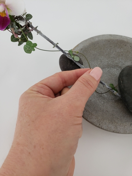 Add in more vines to twirl around the flower and around the twig into the shallow container Add in more vines to twirl around the flower and around the twig into the shallow container